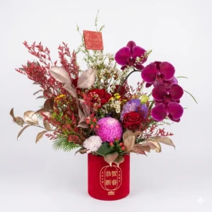Home majestic orchid prosperity bloom box / 紫气东来 · 蝴蝶兰新春抱抱桶 / kotak bunga orkid kemewahan tahun baru