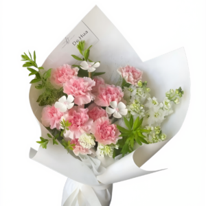 blushing petal reverie 1