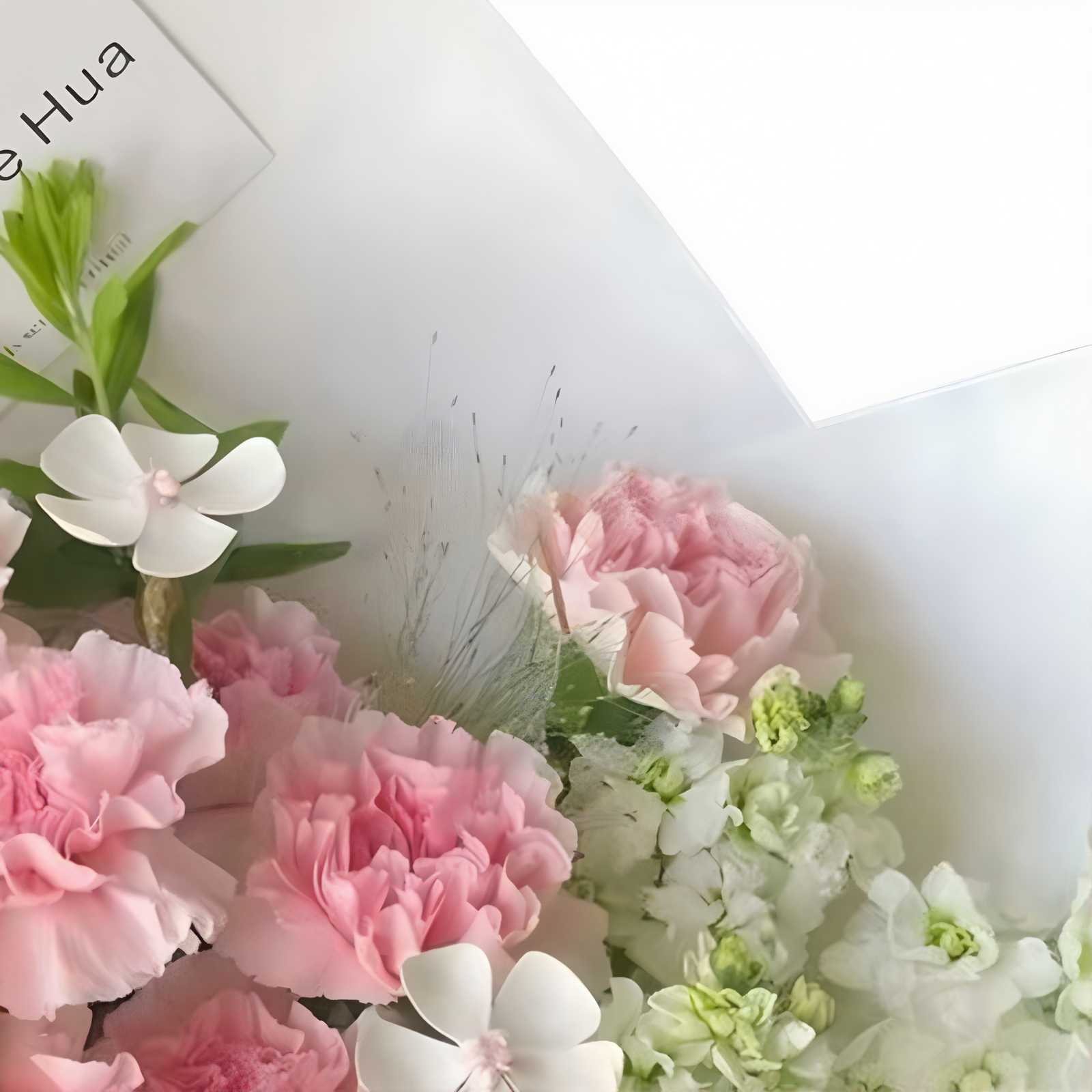 blushing petal reverie 5 blushing petal reverie 5