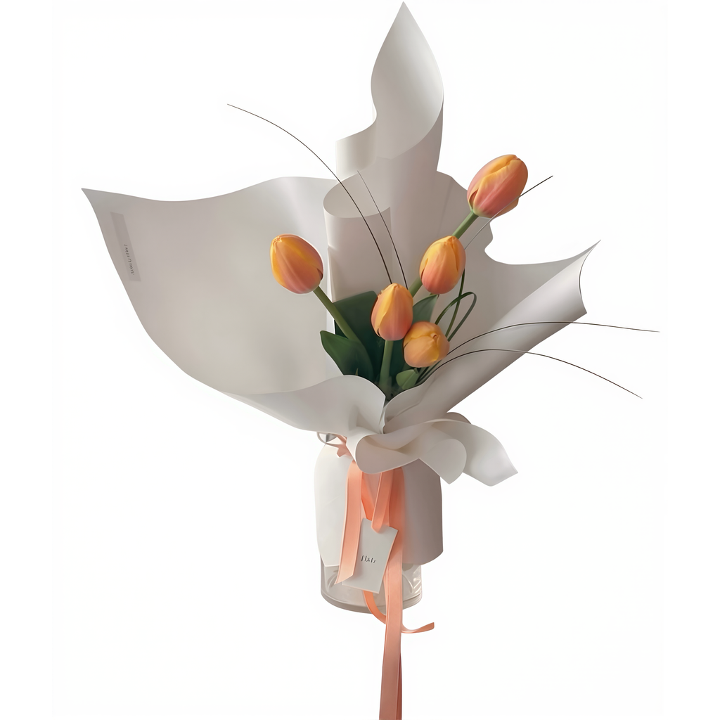 sunset whispers 1 sunset whispers 1